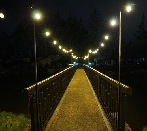 Copyright The Creative Venue